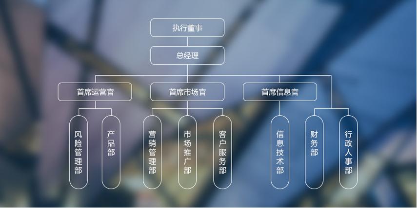 提供金融中介服务,接受金融机构委托从事金融外包服务等